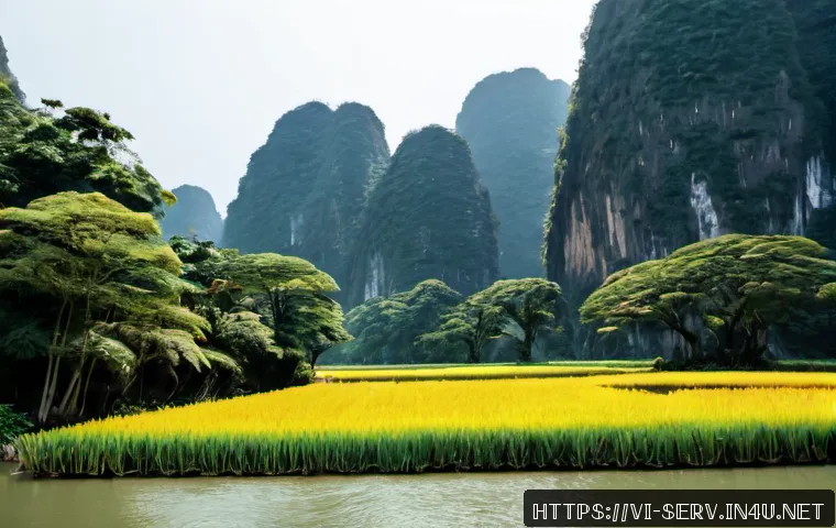Quản lý dịch vụ xây dựng văn hóa tổ chức thế nào để đội ngũ phục vụ nhất quán? 4 서비스관리사와 조직 문화 이해 관련 이미지 2
