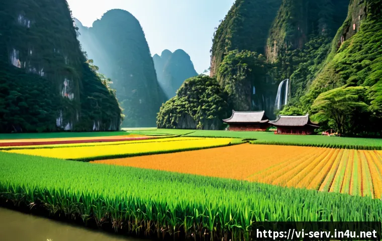 Có chứng chỉ quản lý dịch vụ thì làm công việc gì? Lộ trình chọn việc và khóa học phù hợp 4 서비스관리사 자격증으로 할 수 있는 일 관련 이미지 2